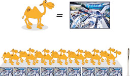 If the camel stands for a picture – a video stream would be like threading an entire caravan through the needle’s eye.